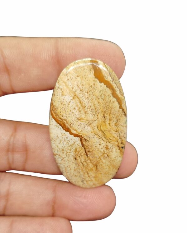 52mm Picture Jasper Cabochon – Oval Shape