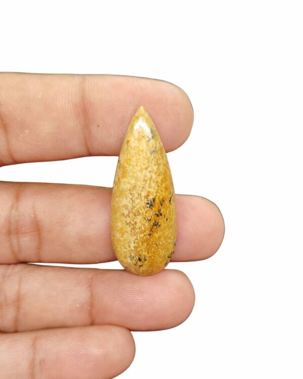 41mm Picture Jasper Cabochon – Drop Shape