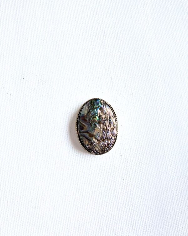 32X25mm Abalone Grooved Stone
