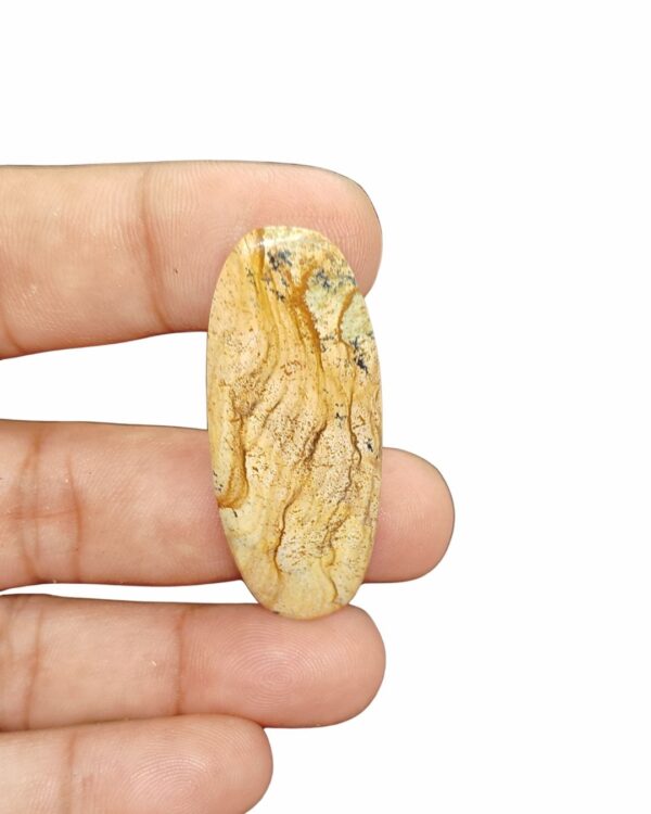 48mm Picture Jasper Cabochon – Oval Shape