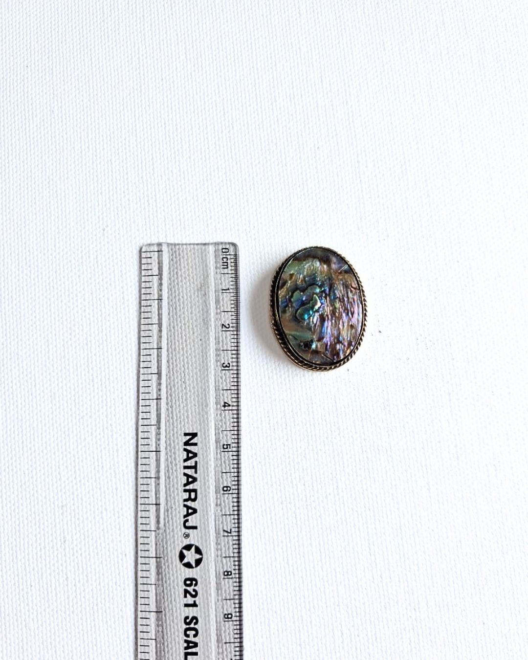 31X24mm Abalone Grooved Stone - Image 2
