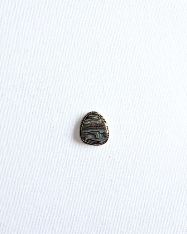 22X19mm Abalone Grooved Stone