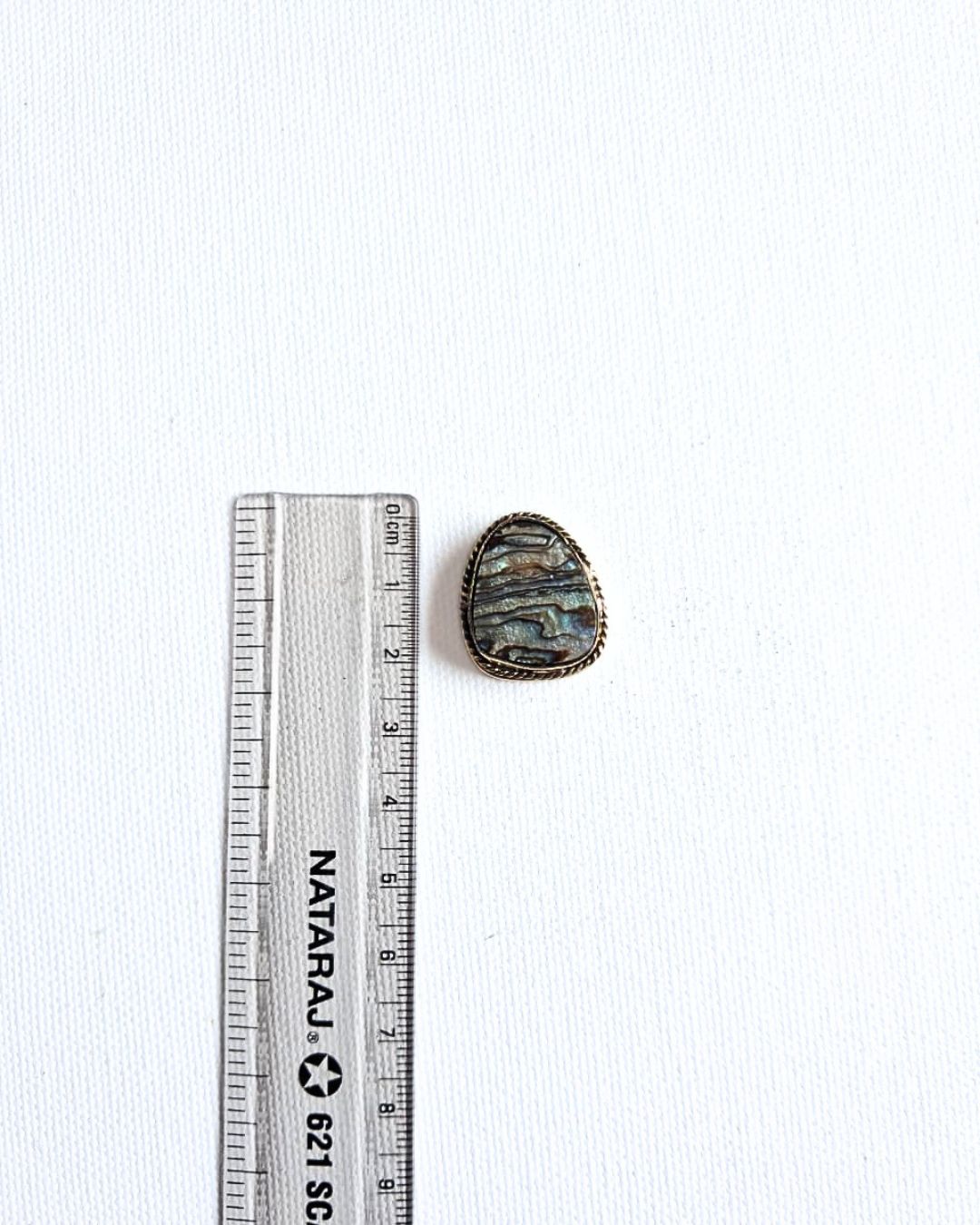 22X19mm Abalone Grooved Stone - Image 2