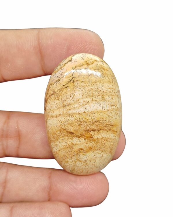 51mm Picture Jasper Cabochon – Oval Shape