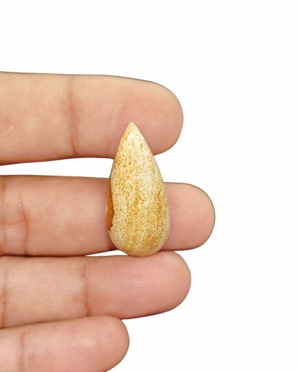 33mm Picture Jasper Cabochon – Drop Shape