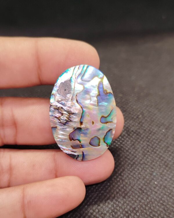 38mm Premium Abalone Shell Cabochon