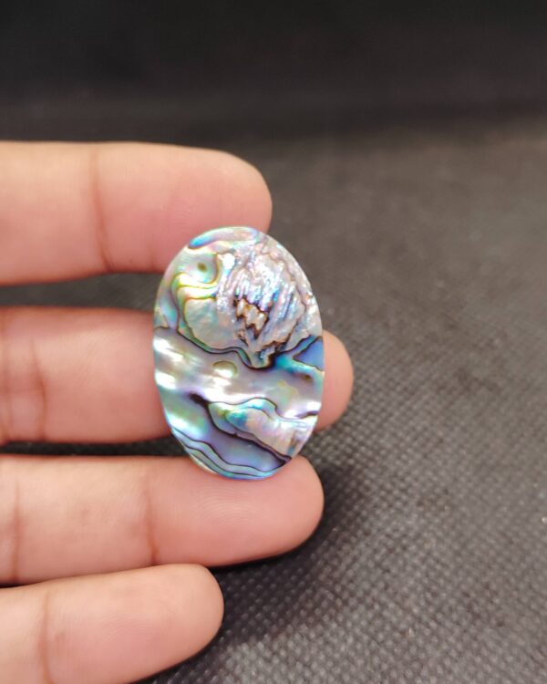 35mm Abalone Shell Collector Gemstone