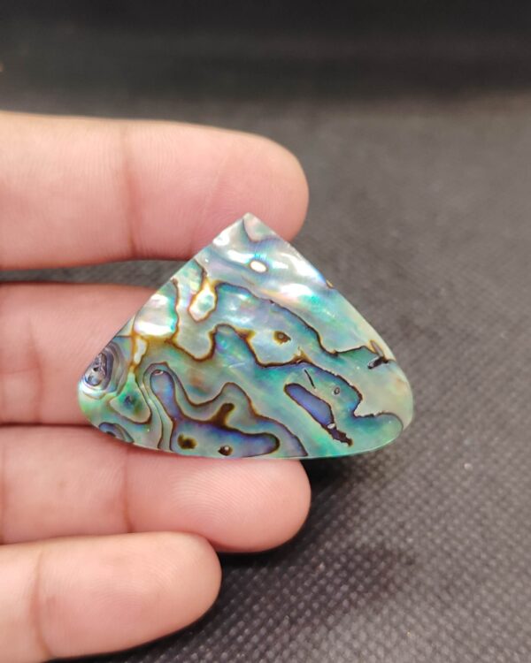 32mm Abalone Shell One of a Kind Gemstone