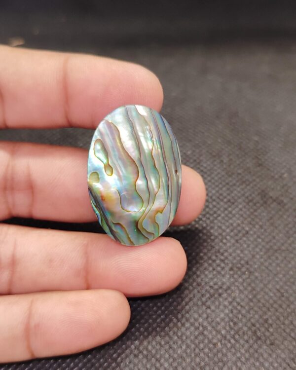 35mm Abalone Shell Statement Stone