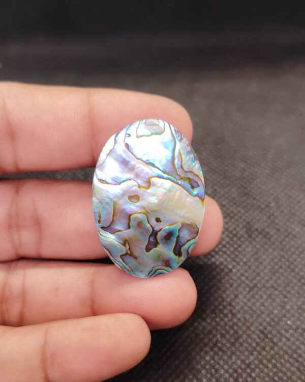 36mm Abalone Shell Gemstone with Ocean Colors