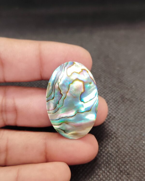 36mm Large Abalone Shell Cabochon