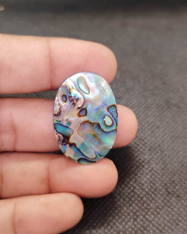 32mm Abalone Shell Collector Stone