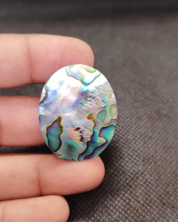 33mm Abalone Shell Natural Gemstone