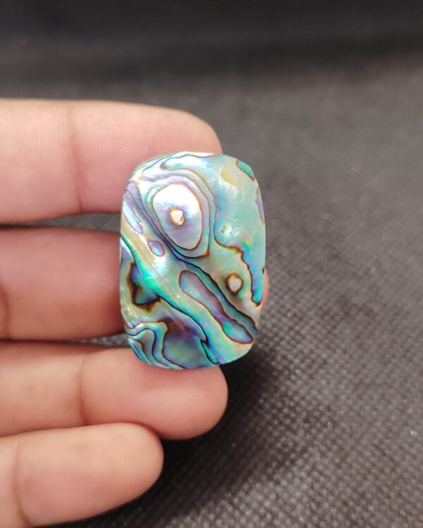 34mm Small Abalone Shell Cabochon