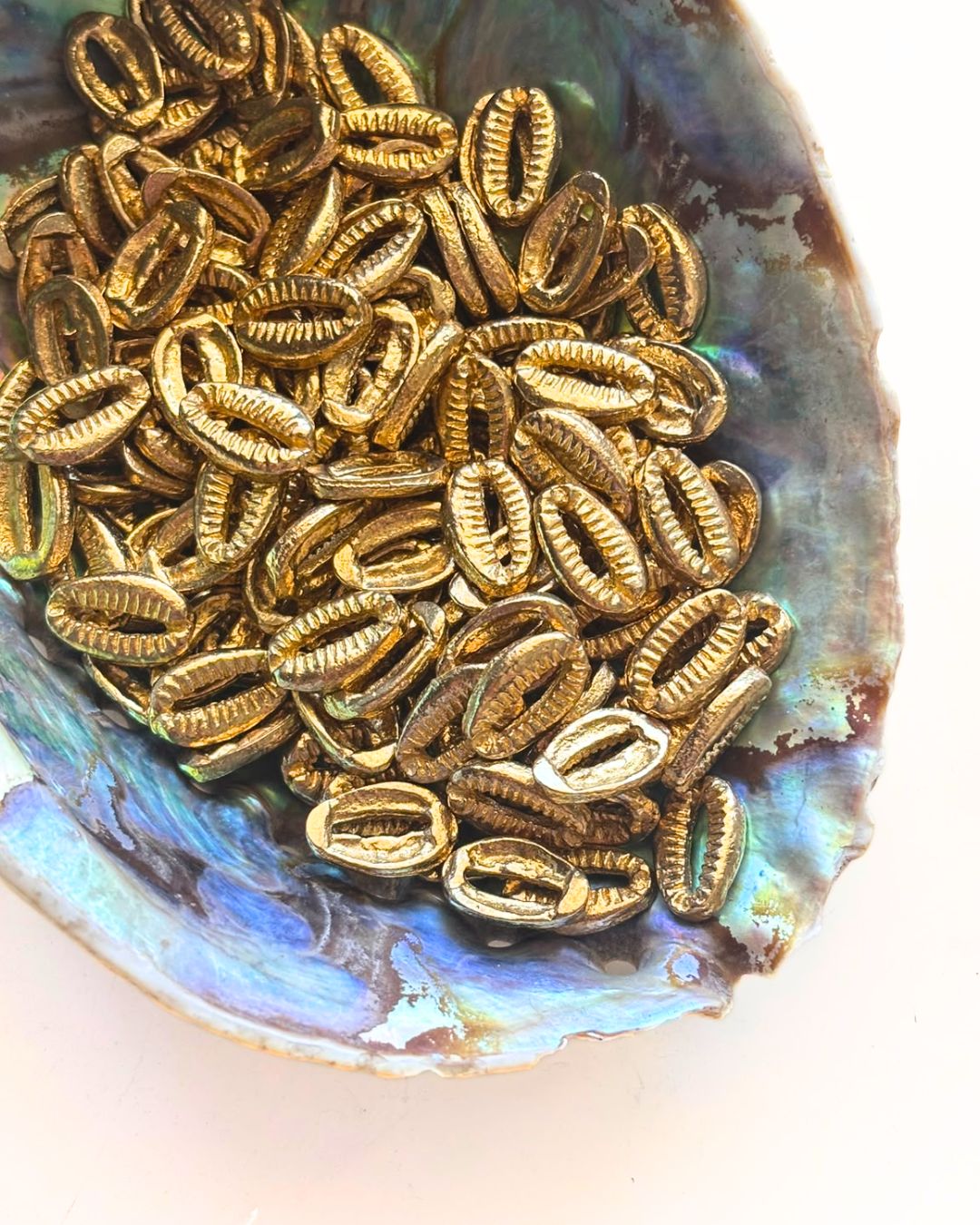 15mm Shell Brass Charms – Pack of 5 Pieces - Image 2
