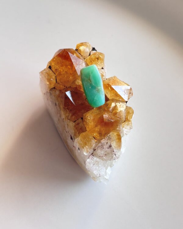 19mm Chrysoprase Cabochon for Jewelry Settings