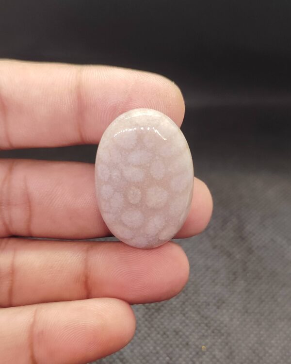 34mm Fossil Coral Statement Stone