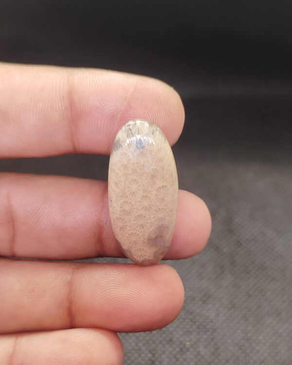 33mm Fossil Coral Gemstone – Exact Piece
