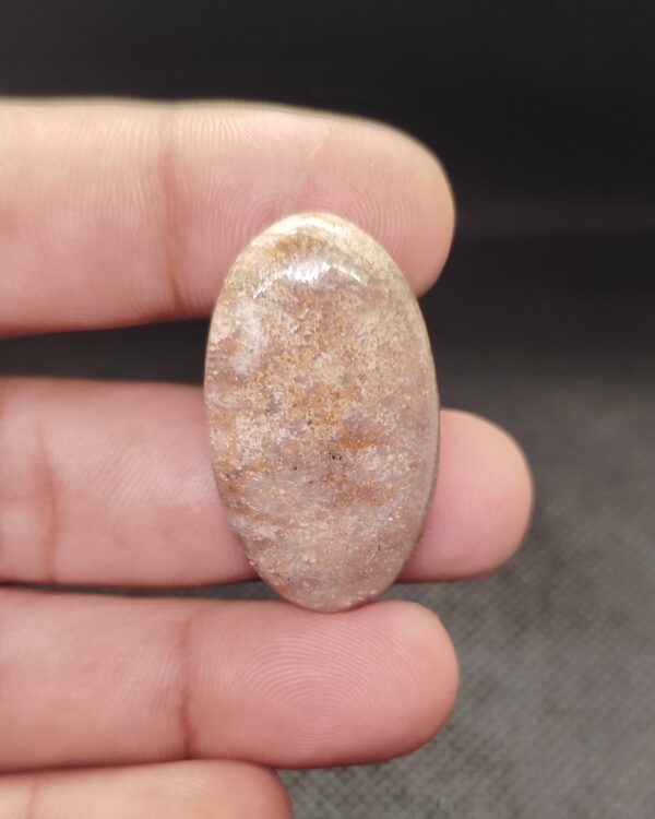 36mm Fossil Coral Cabochon – Unique Piece