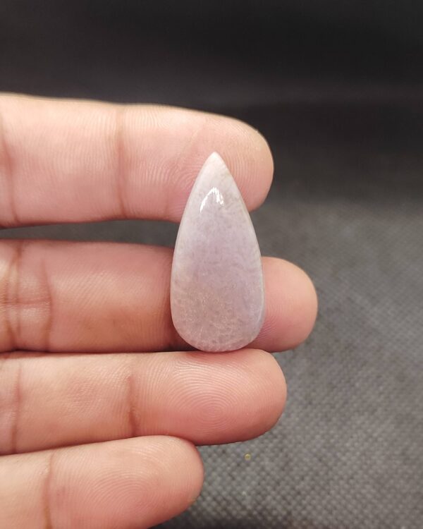 32mm Fossil Coral Artisan Gemstone