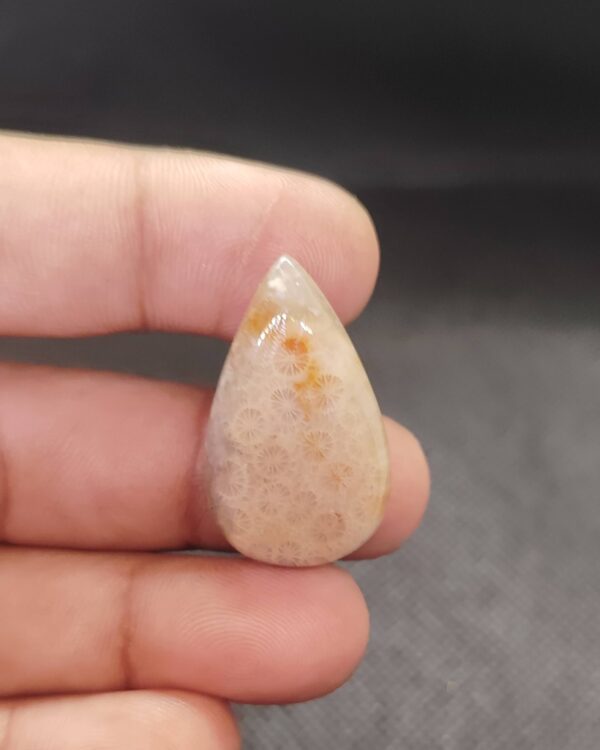 32mm Fossil Coral Jewelry Designer Stone