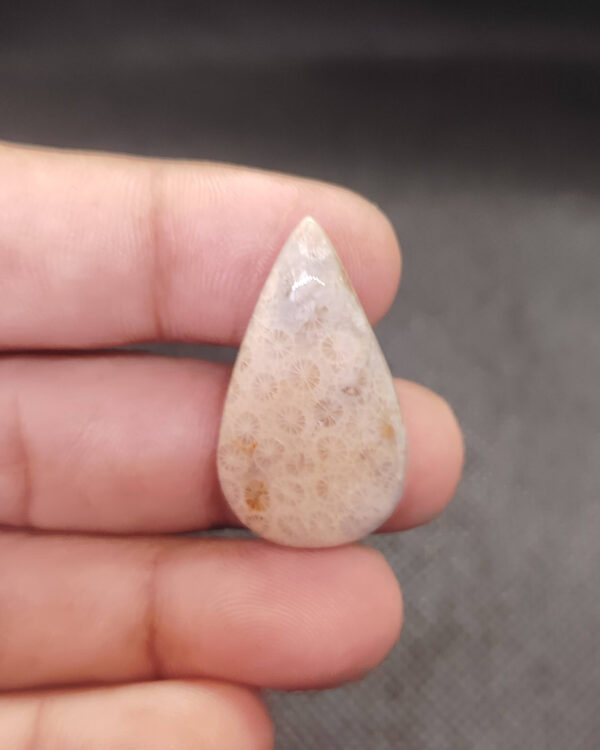 34mm Fossil Coral Gemstone with Earthy Tones