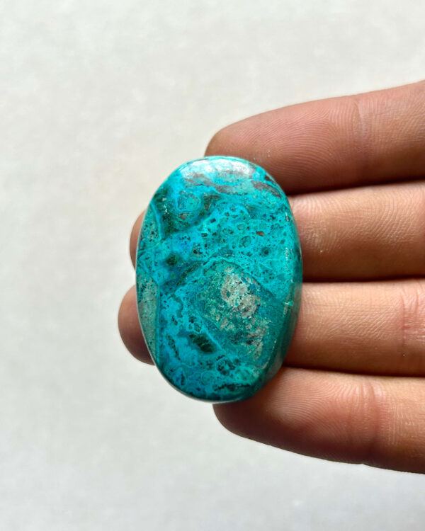 41 mm Malachite Chrysocolla Cabochon