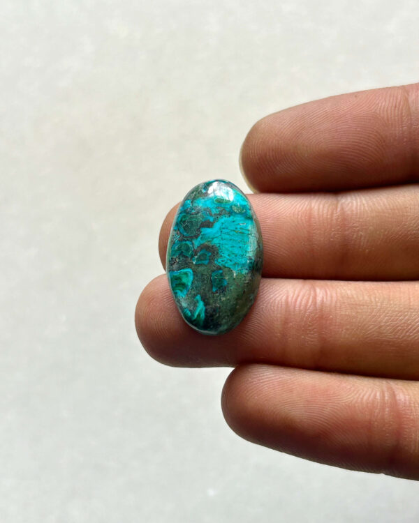 24 mm Malachite Chrysocolla Cabochon