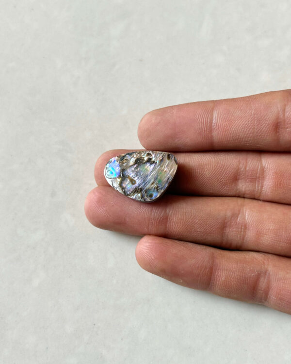24mm Abalone Shell Cabochon for Jewelry Making