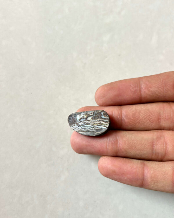 23mm Abalone Shell Cabochon for Jewelry Making
