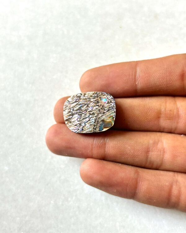 22mm Abalone Shell Cabochon for Jewelry Making