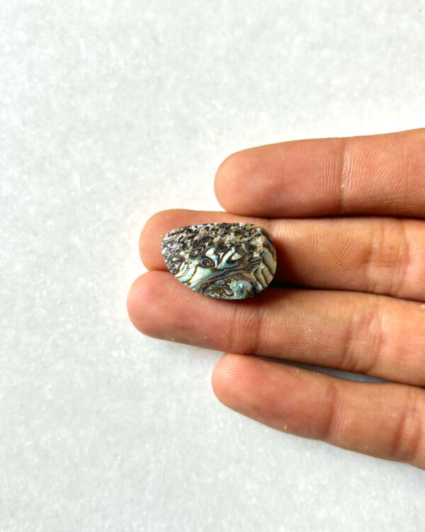 23mm Abalone Shell Cabochon for Jewelry Making