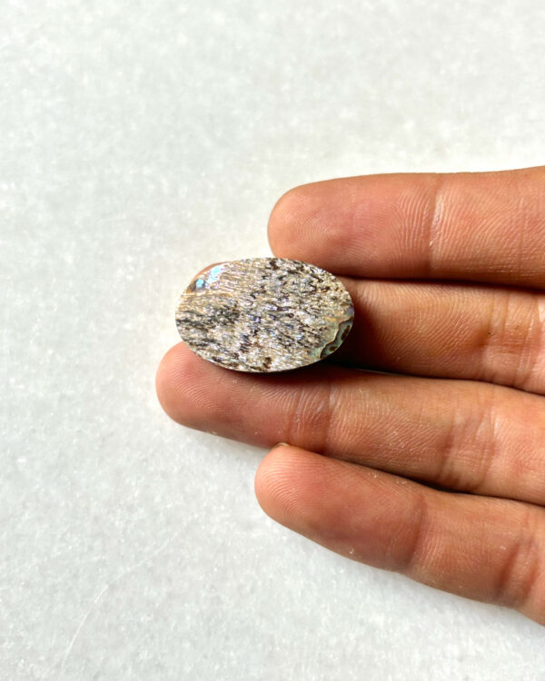27mm Abalone Shell Cabochon for Jewelry Making