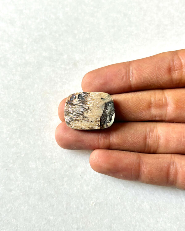 25mm Abalone Shell Cabochon for Jewelry Making