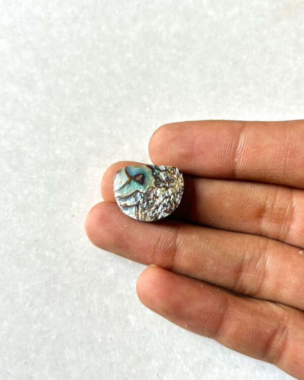 20mm Abalone Shell Cabochon for Jewelry Making