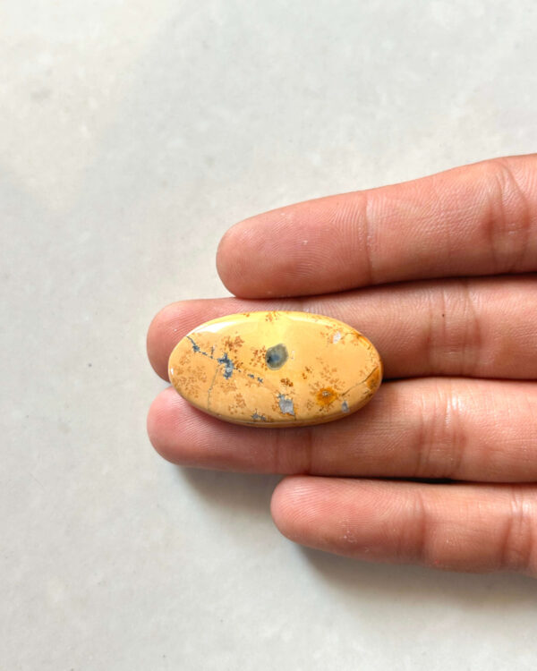35mm Unique Maligano Jasper Cabochon for Jewelry Making