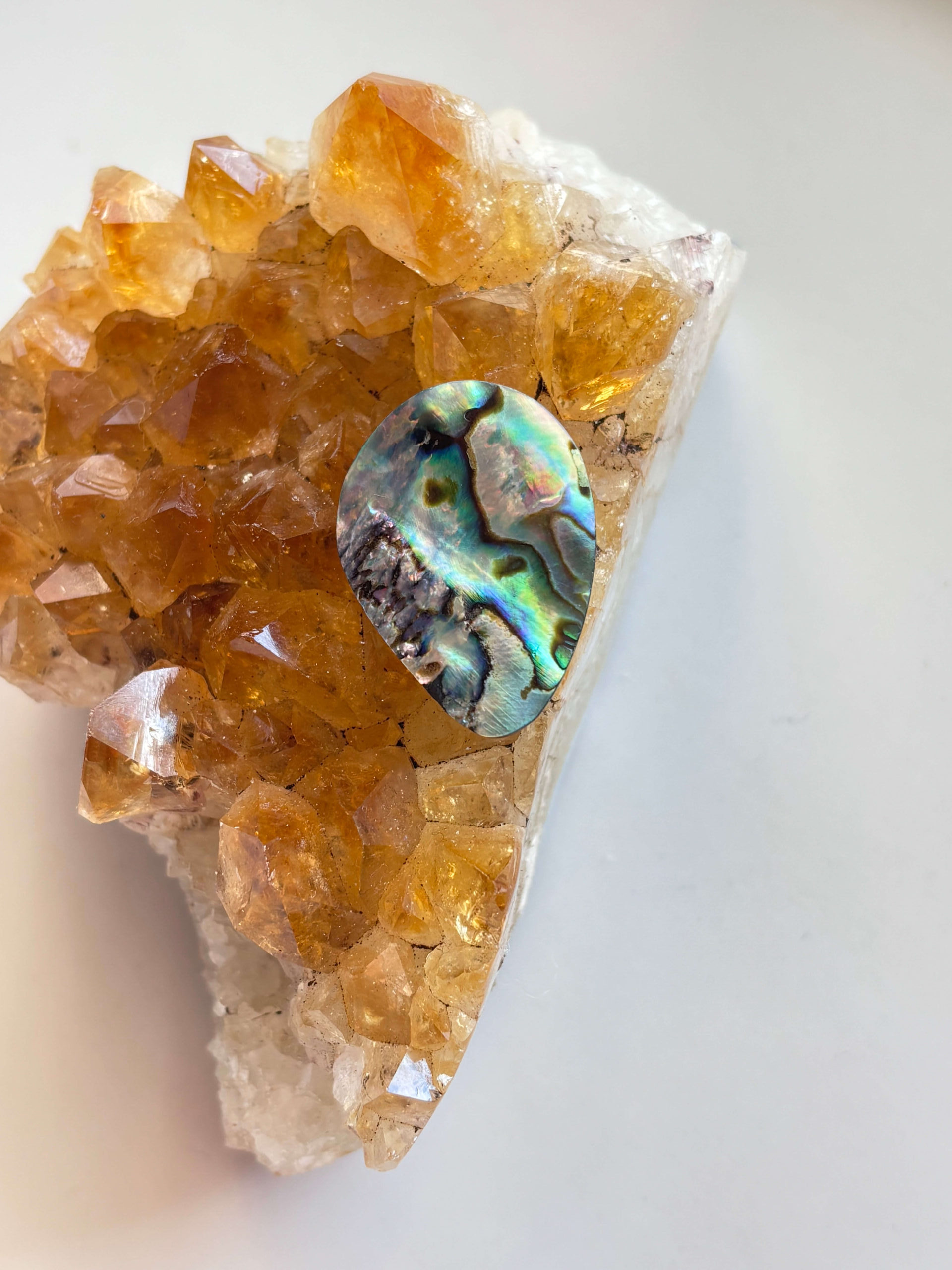 29mm Abalone Shell for Jewellery Making