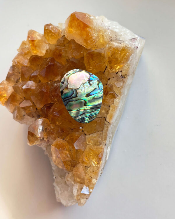 25mm Abalone Shell for Pendant Designs