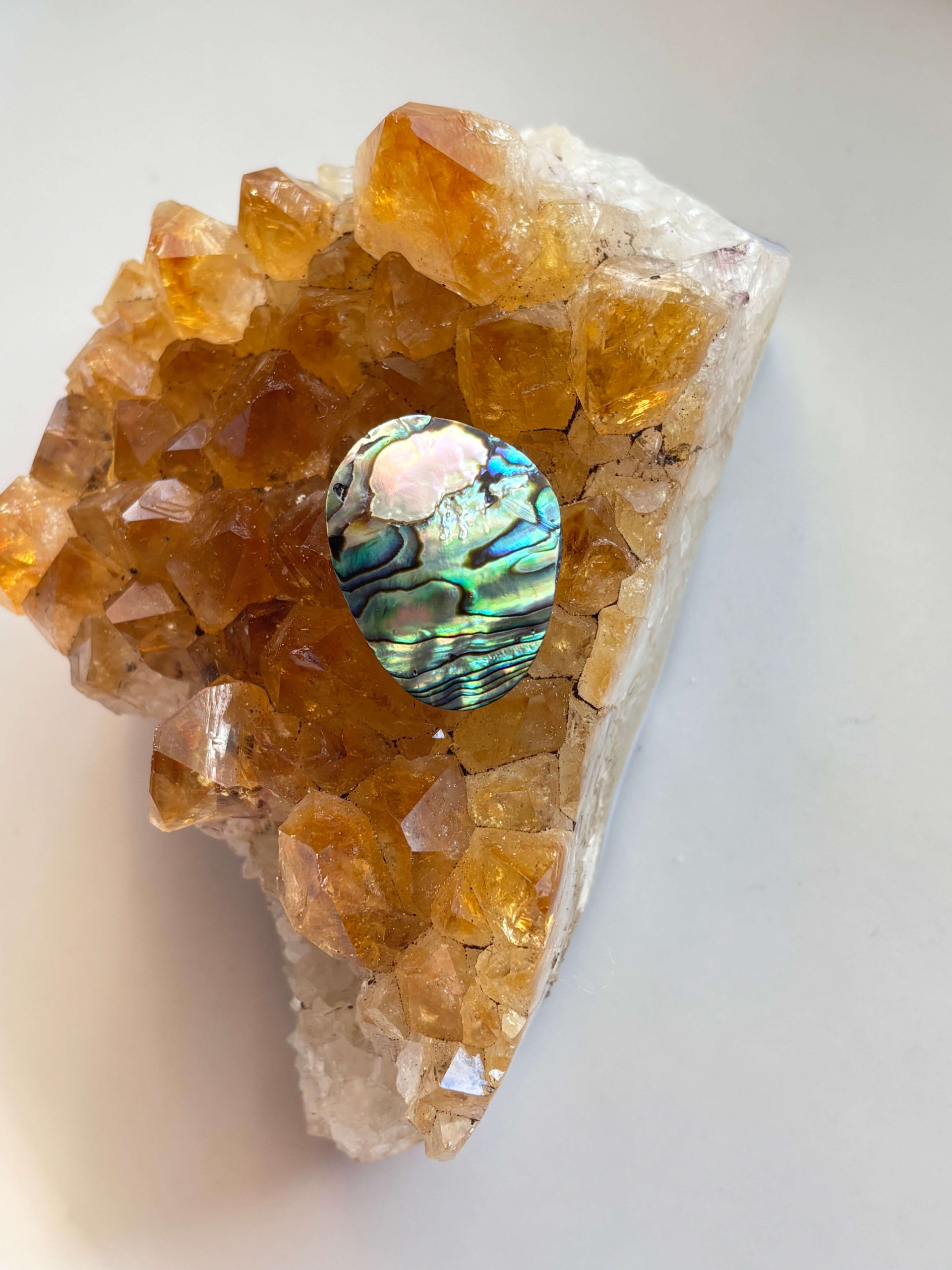 25mm Abalone Shell for Pendant Designs