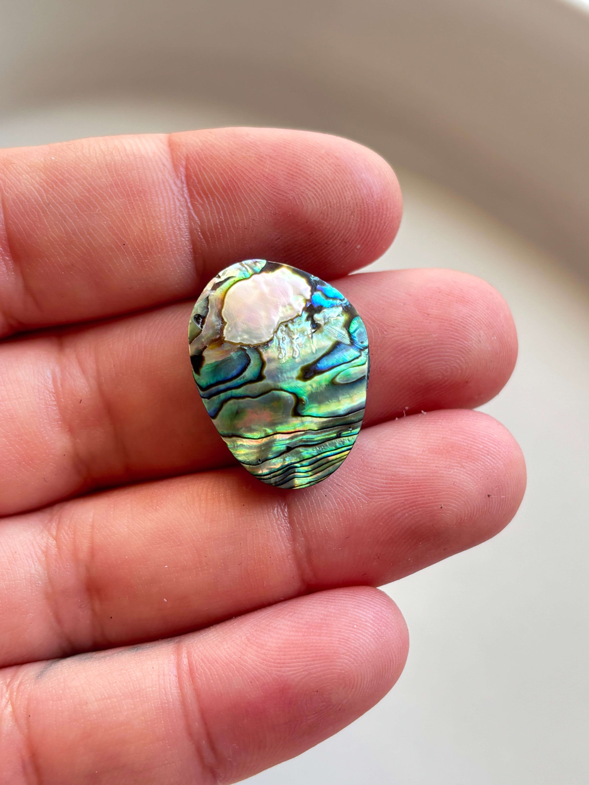 25mm Abalone Shell for Pendant Designs - Image 2