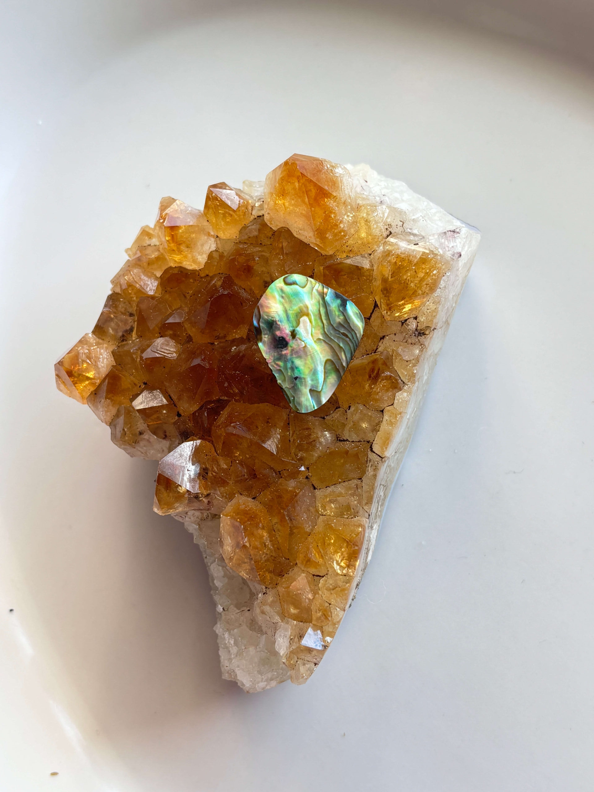 23mm Abalone Cabochon for Jewellery Projects - Image 2