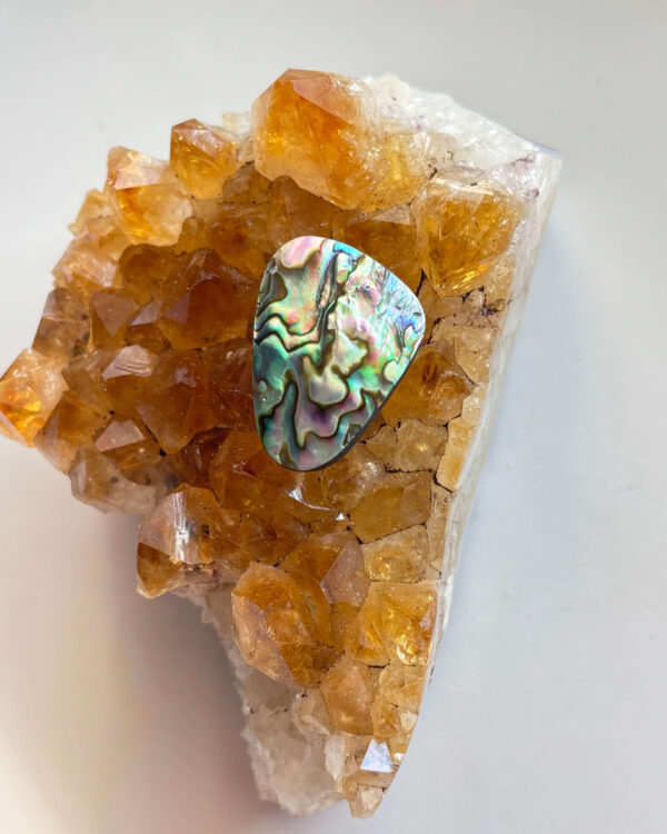 27mm Abalone Shell for Pendant Making
