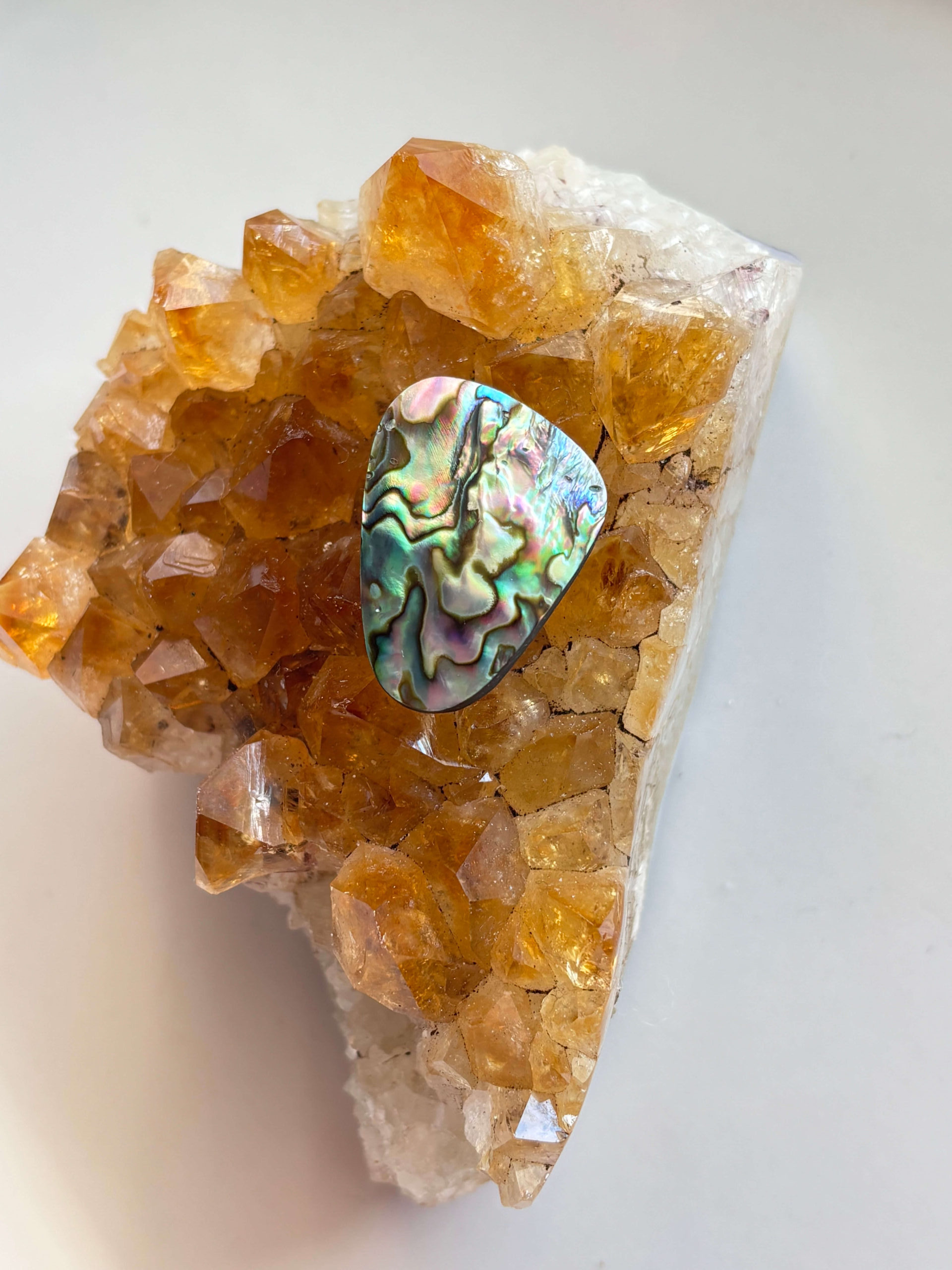 27mm Abalone Shell for Pendant Making
