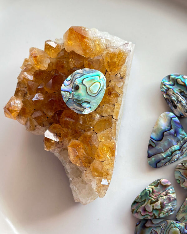 24mm Abalone Shell for Creative Jewellery
