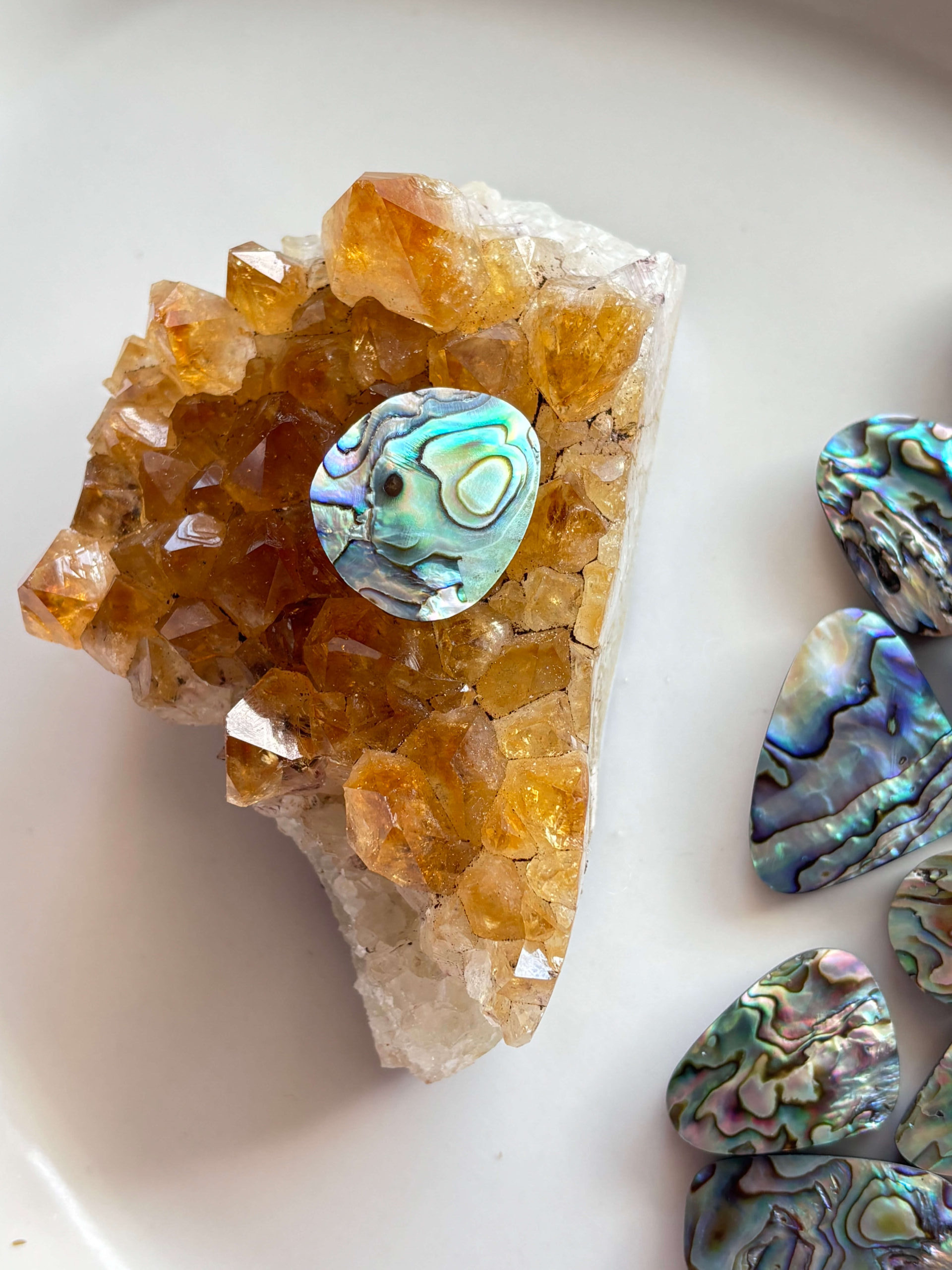 24mm Abalone Shell for Creative Jewellery