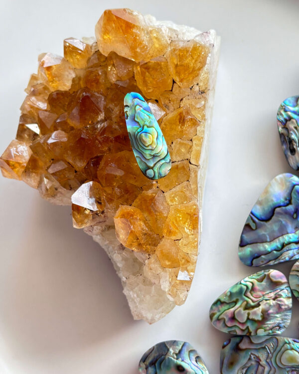 27mm Abalone Shell for Wire-Wrapped Designs