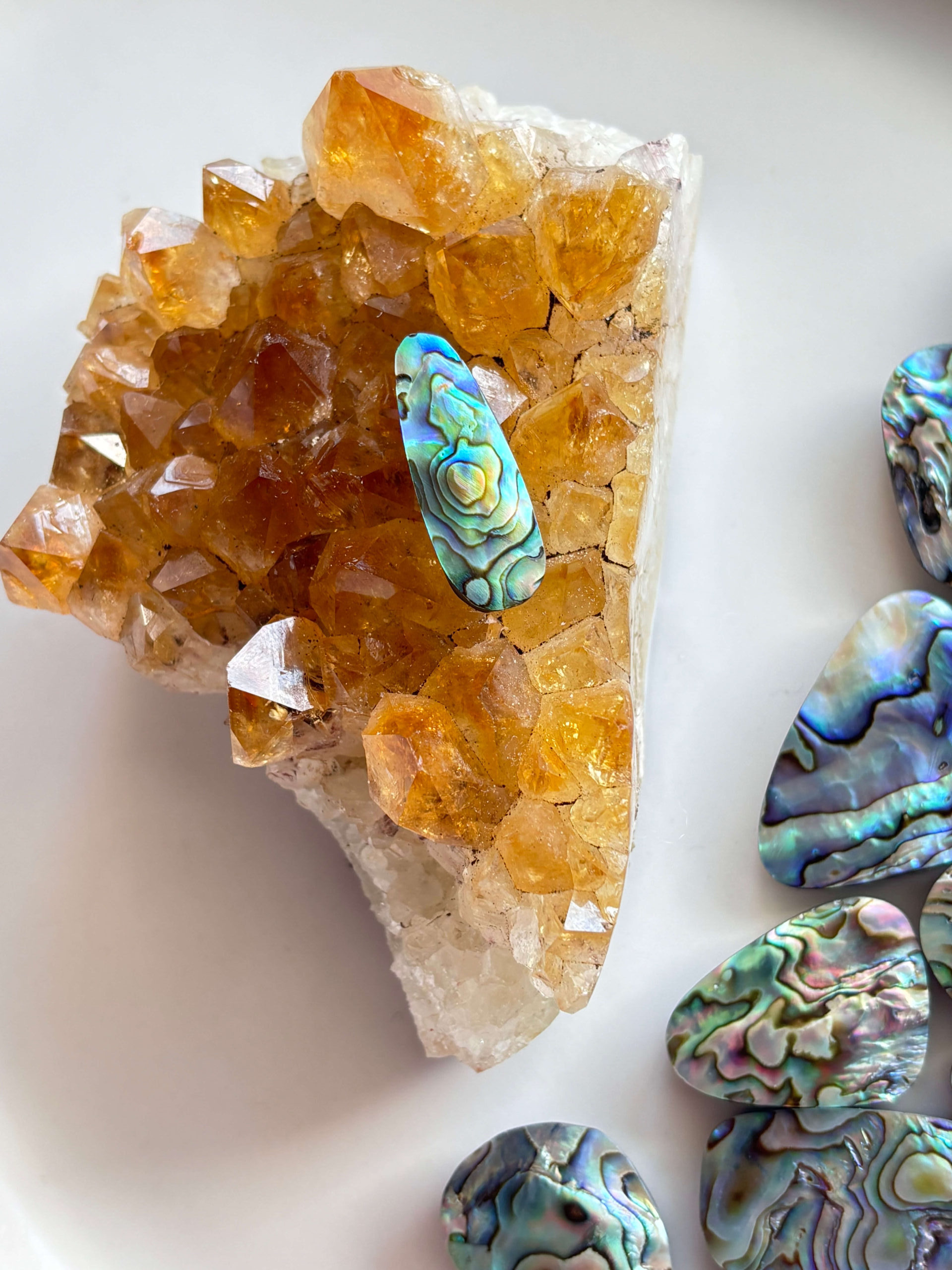 27mm Abalone Shell for Wire-Wrapped Designs
