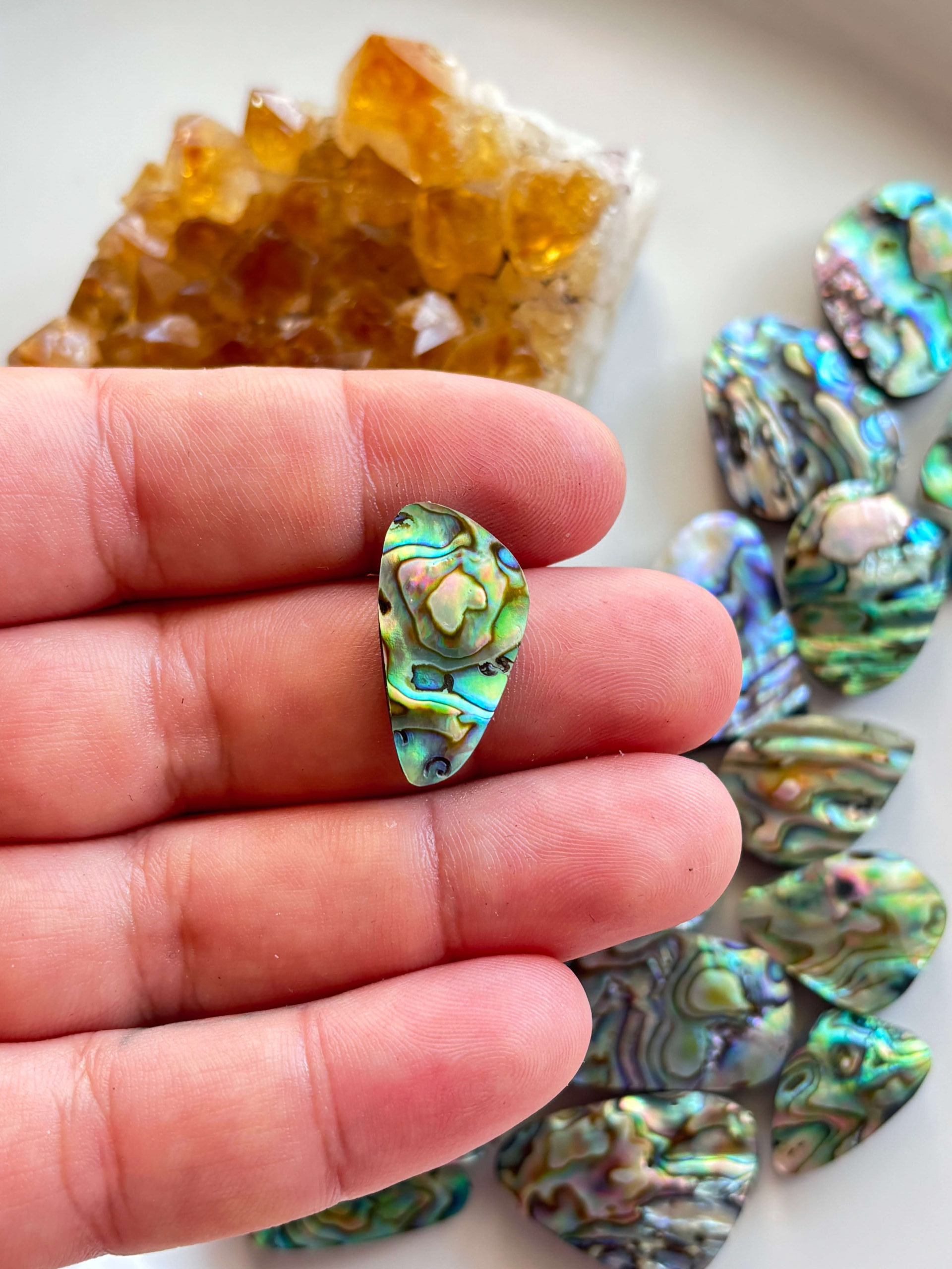 19mm Abalone Cabochon for Jewellery Designs - Image 2
