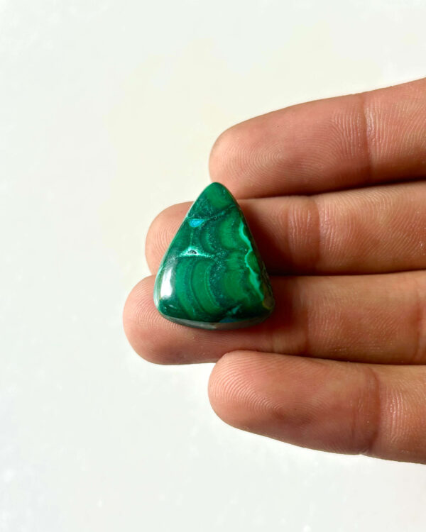 25 mm Malachite Chrysocolla Cabochon