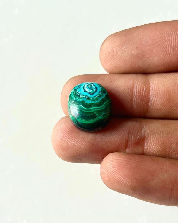 16 mm Malachite Chrysocolla Cabochon